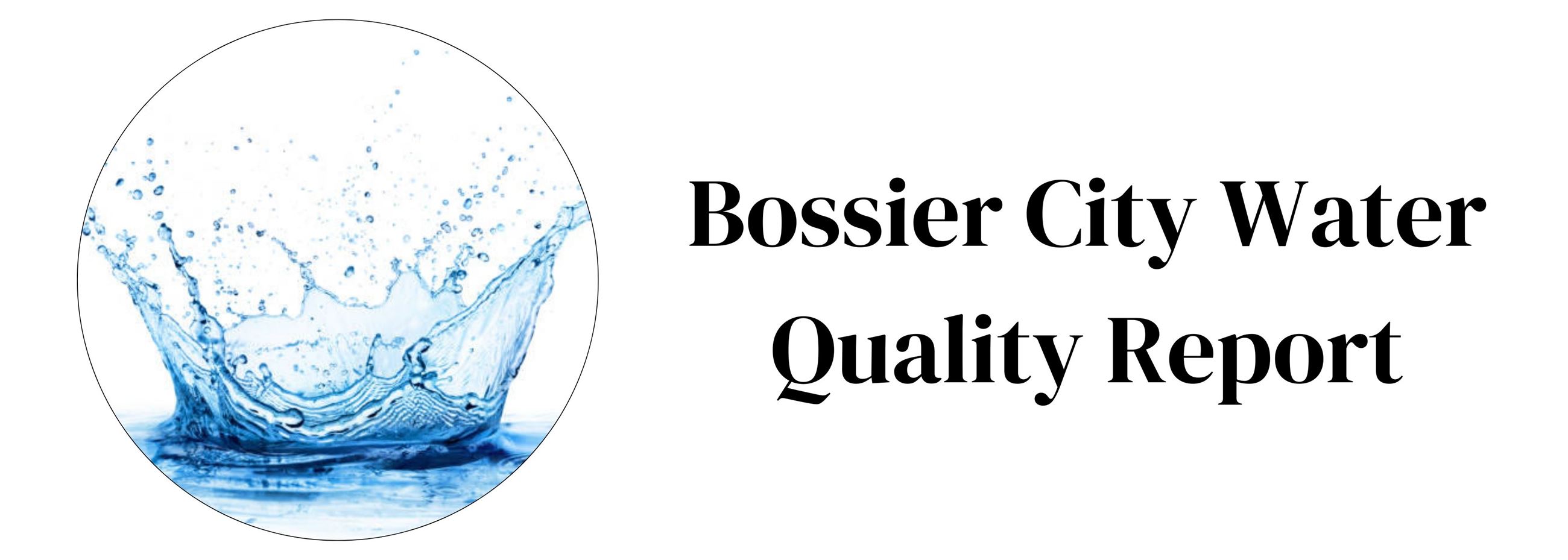 Your paragraph text (5)